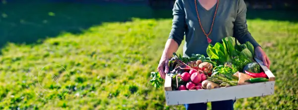 Suniai Oliva retreat center: Local Vegetables