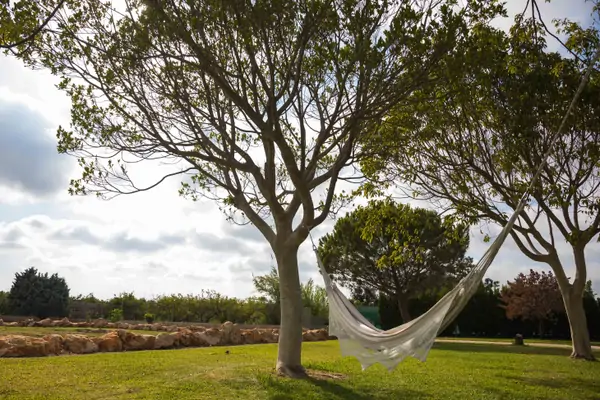 A serene view of hammocks under trees at Suniai Oliva Retreat Center in Spain, perfect for peaceful retreats.