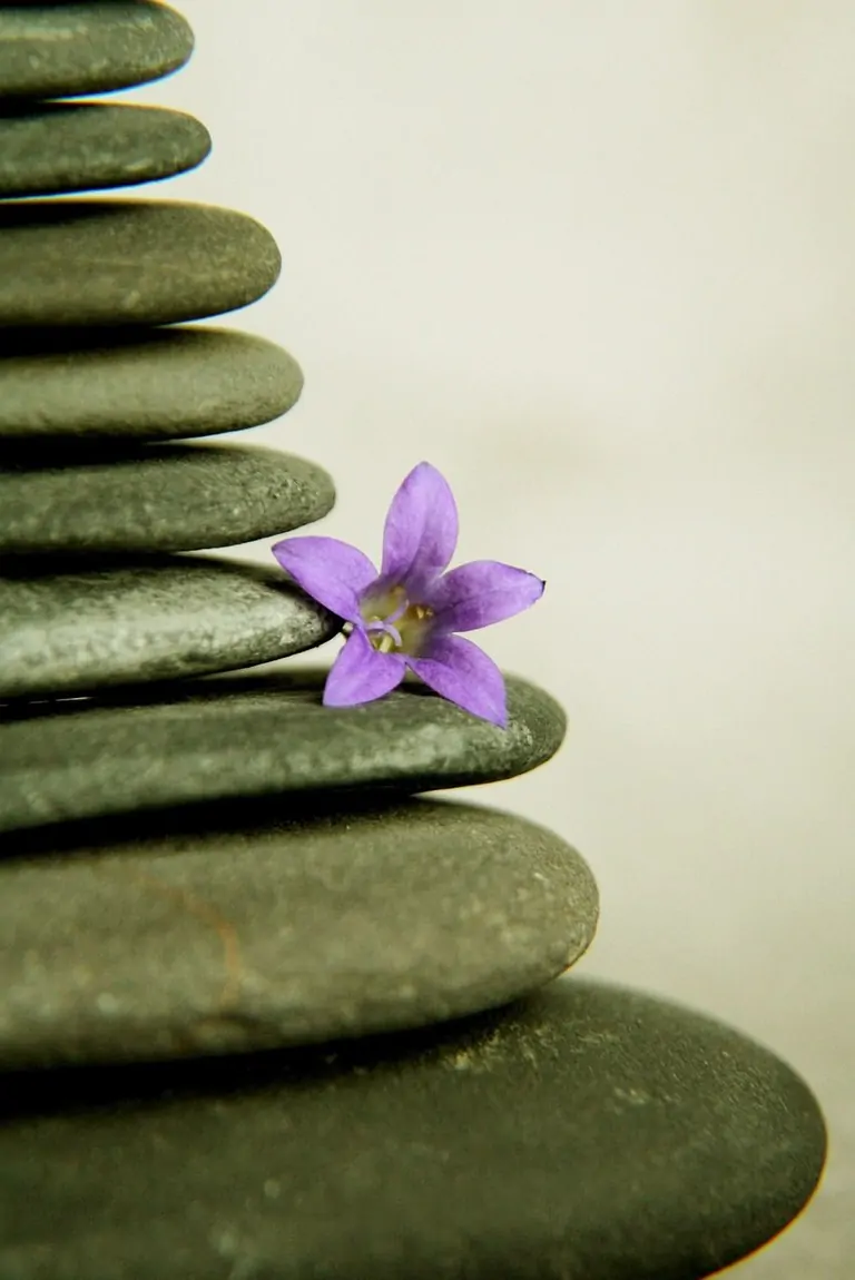 A stack of smooth black stones with a small purple flower emerging from the arrangement, symbolizing harmony.