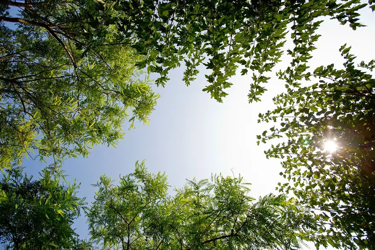 Project Pause Retreats 20260418