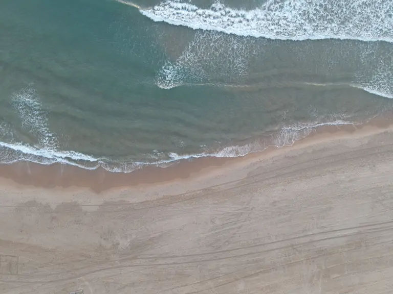 A person is practicing yoga in a garden. They are positioned in the upward-facing dog pose, with their back arched and chest lifted. The individual is wearing a sports bra and leggings, and their hair is down. In the background, there is a lush green lawn and a tree. A stone statue is partially visible behind the person. The setting is bright and sunny, suggesting a pleasant day.