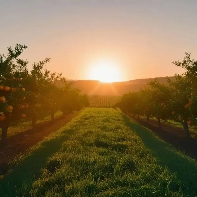 Power of Stillness 20260327