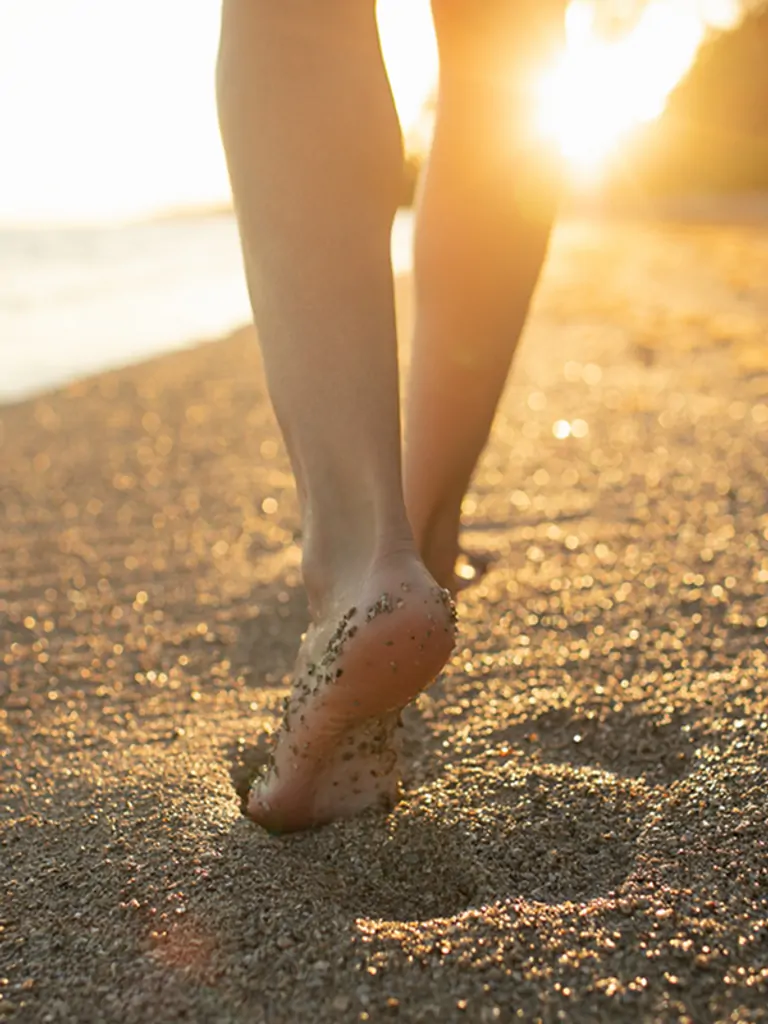 Rooted within Retreat Sept 2026