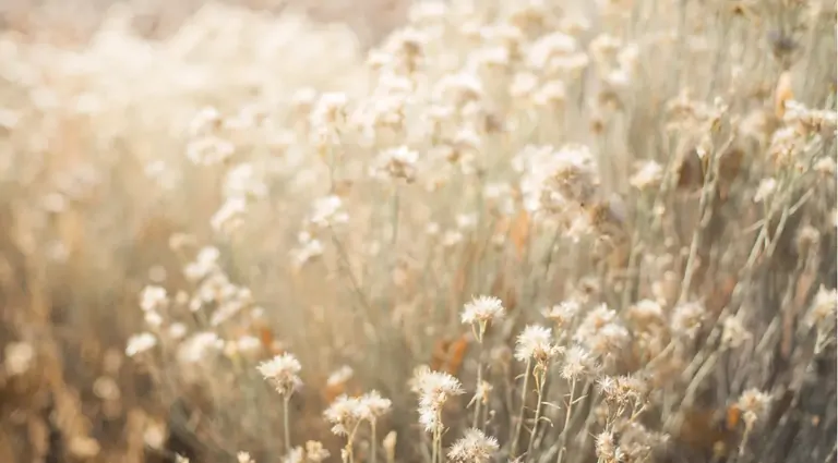 START Business Building Retreat 20251104