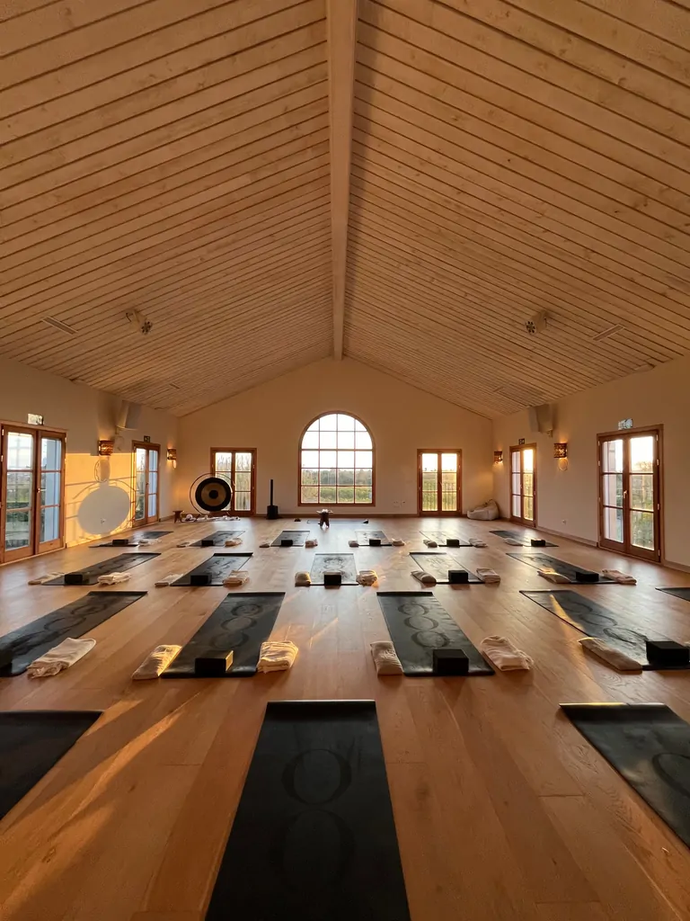 Yoga studio with wooden floors, mats arranged in rows, and large windows allowing natural light to enter.