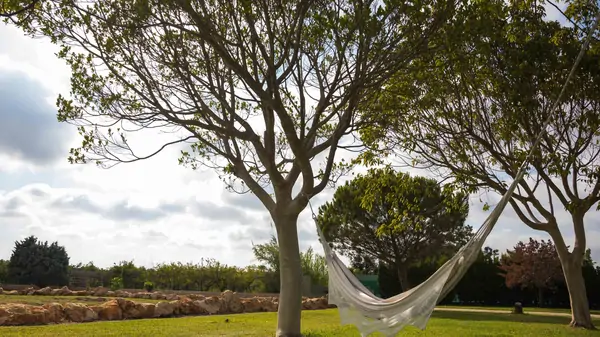 A serene scene at Suniai Oliva Retreat Center features a hammock gently swaying between two trees in a peaceful landscape.