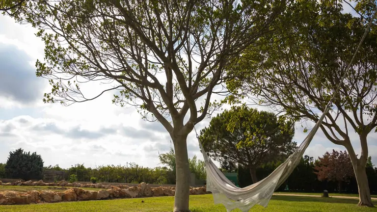 A serene scene at Suniai Oliva Retreat Center features a hammock gently swaying between two trees in a peaceful landscape.