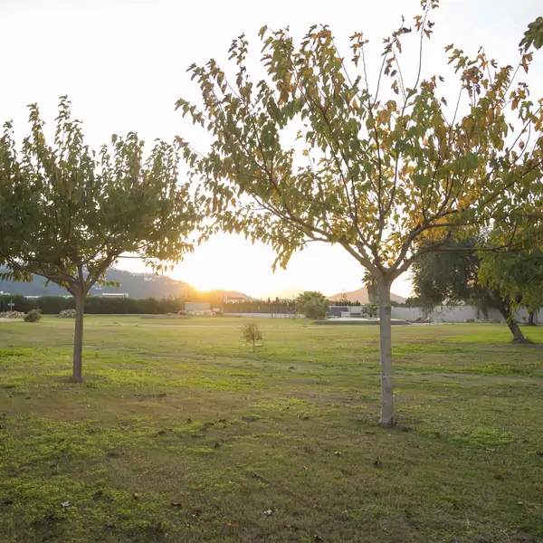 The view of the Suniai's garden, a space where wellness Retreat happens, fostering connection and mindfulness.