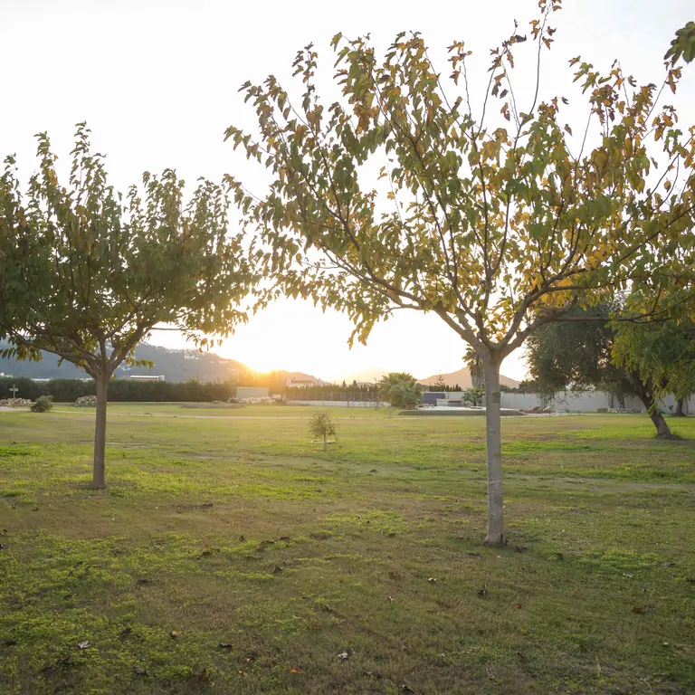 The view of the Suniais garden, a space where wellness Retreat happens, fostering connection and mindfulness.