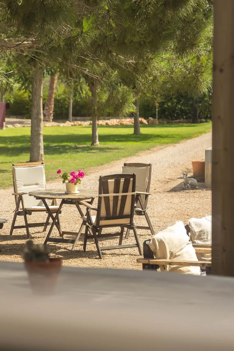 Host your Retreat at Suniai Oliva