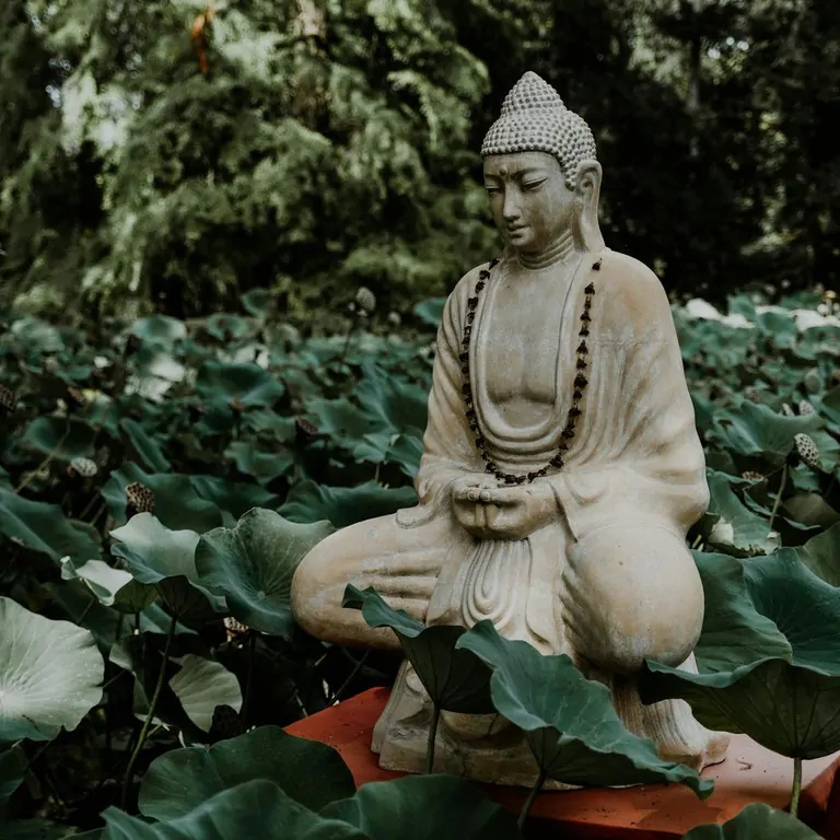 A serene statue of Buddha sits peacefully among lush greenery in Suniai Oliva, Spain, symbolizing tranquility.
