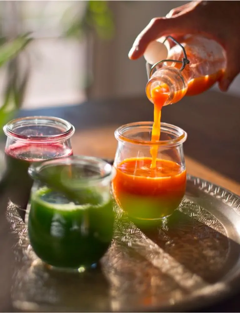 Retiro de Suniai  Placas ecológicas de base vegetal