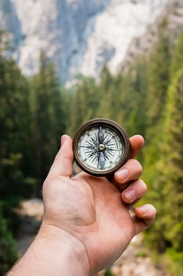 A hand holds a compass in front of a lush forest backdrop and rocky mountains in the distance.