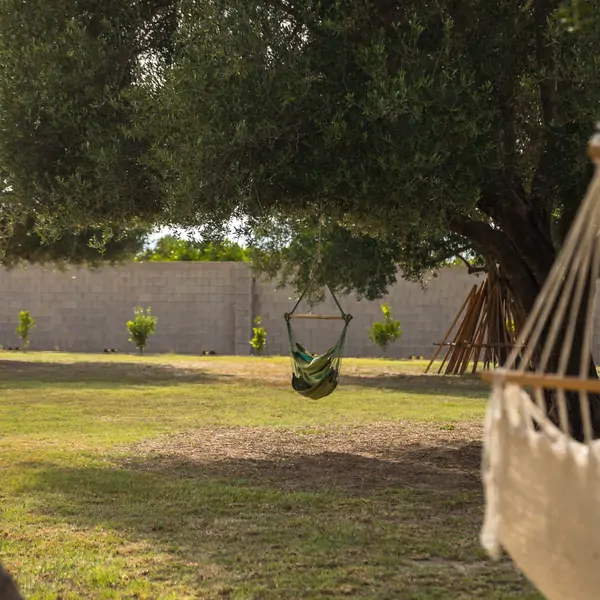 A serene view of hammocks under trees at Suniai Oliva Retreat Center in Spain, perfect for peaceful retreats.