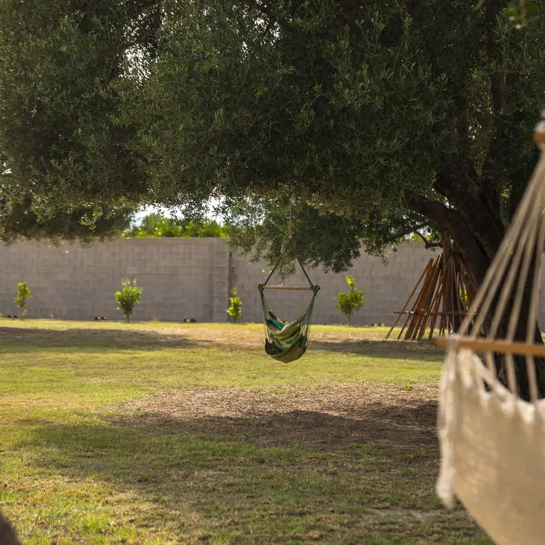 Una serena vista de hamacas bajo árboles en el Centro de Retiro Suniai Oliva en España, perfecto para retiros pacíficos.